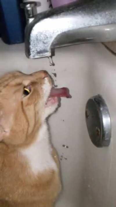 Pinkie doing a blep in slow-mo