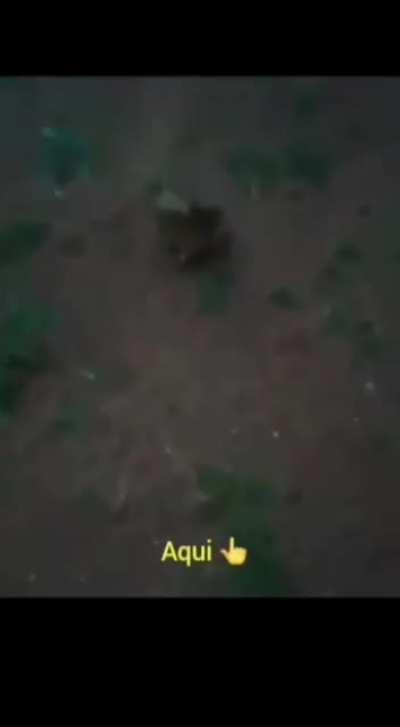 Vixe😰😰🙌🙌