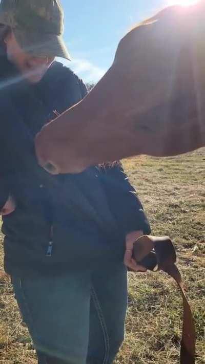 What a playful horse