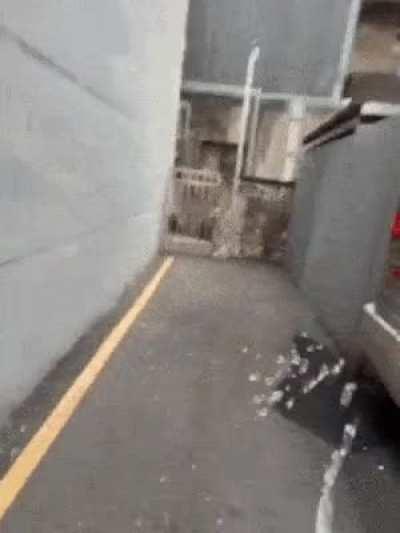 Can’t believe I actually got fooled by the subreddit avatar