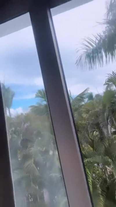 Rubi Rose 🥀 is gorgeous 