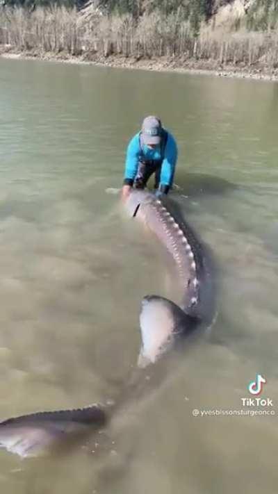 Thanks, I hate swimming now