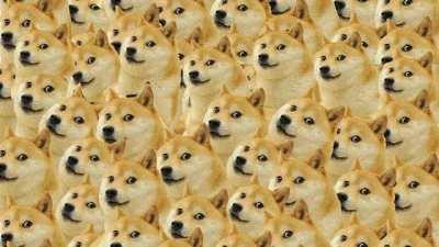 Le infinite doge profile Banner for Discord etc.