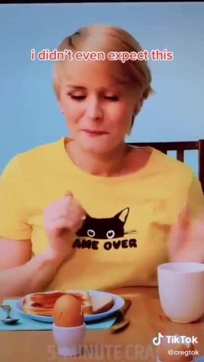 I found interdimensional tiktok. (His entire account is this and it's amazing)