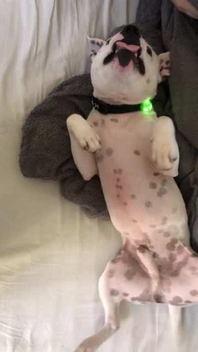 Trust me, he loves it.