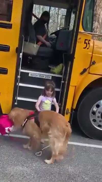 He greets her at the bus every day