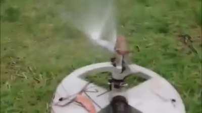 be mesmerized r_gif Frog mowing 'em down with some heavy artillery.