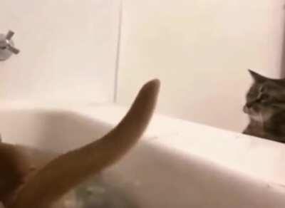 Devistating slow mo slap