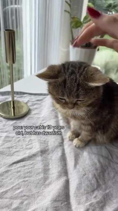 He’s a rescue ♥️ will post his story soon 🥰