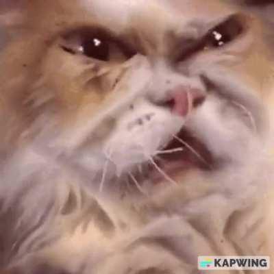 Thanks I hate whatever this is!