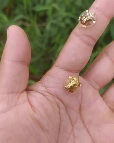 Britishers forgot to loot this.