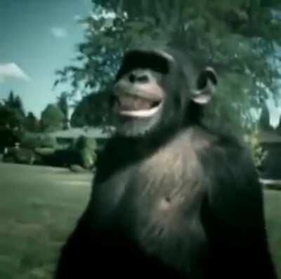 Monke brother kill child OOO OOO AHH AHH