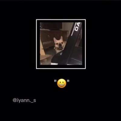 Certified freak 😳