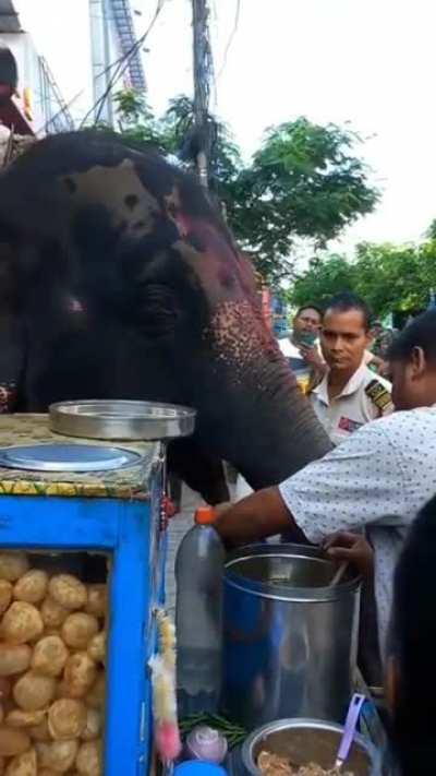You guys like to see elephant eating pani puri??