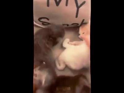 helo based deparmen? wr have certified base in are erea 😎