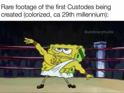 And that’s how Kitten was born