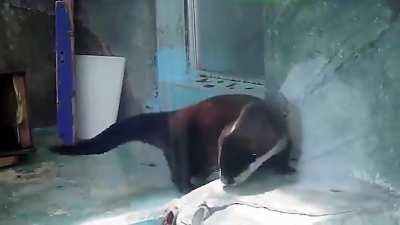 Day 157 of listening to this absolute banger of a song