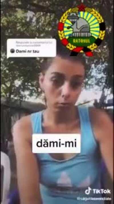 Lectii de limba romana