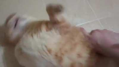 My brother's rage loaf is mad that I have the audacity to touch him