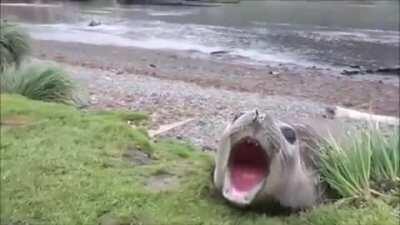 Star Wars: Episode III &ndash; Revenge of the Sith (2005)