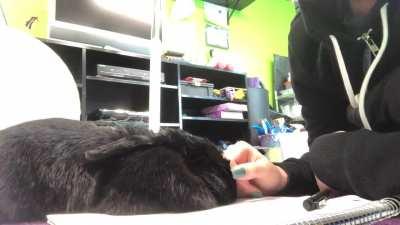 Stop being productive and love me mama!