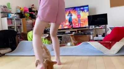 Cat refuses to let owner exercise