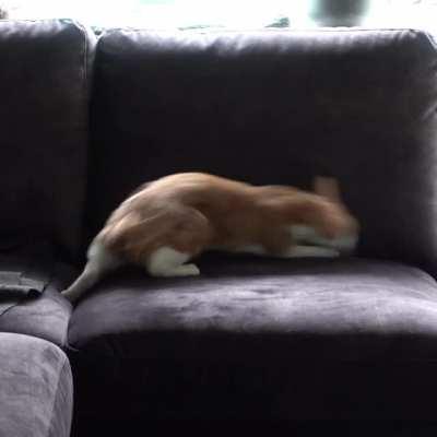 Maia is hunting invisible creatures