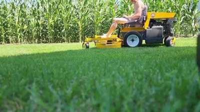 Meth is hell of a drug