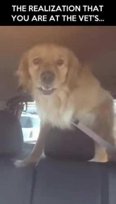 He thought he was going to the park...