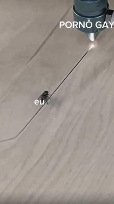 Eu que fiz,espero que odeie