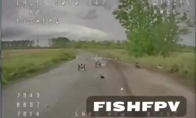 A Ukrainian drone operator of the 27th Brigade of the National Guard of Ukraine, part of the Lazar Separate Special Forces Detachment, spotted three waiting Russian fiber optic FPV quads. A Ukrainian pilot used his own FPV UAV to destroy the drones.