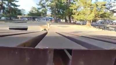 Hello Girl, I'm Deer