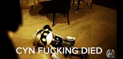 what do you think about cyn like genuinely