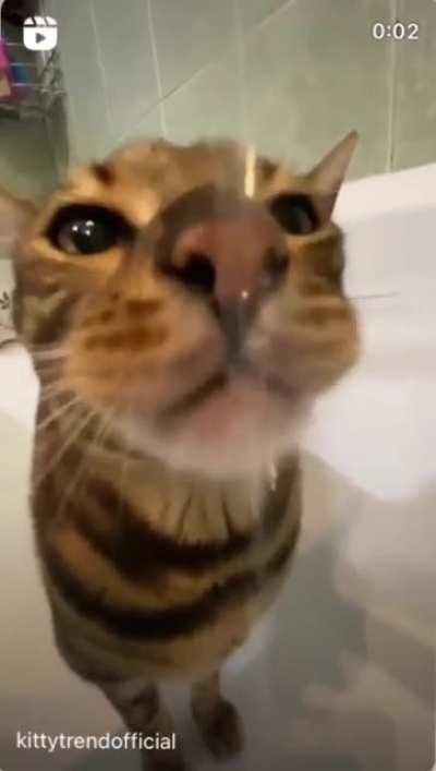 Luangameplay666 - Video #2314