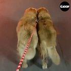 Two blondes shaking dat booty in sync.