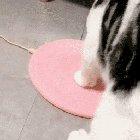 Becoming the Chosen One