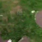 Damn it doesn't feel good to be a gangster