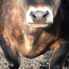 Waiting for the weather to corporate...