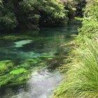 🔥 This river flowing