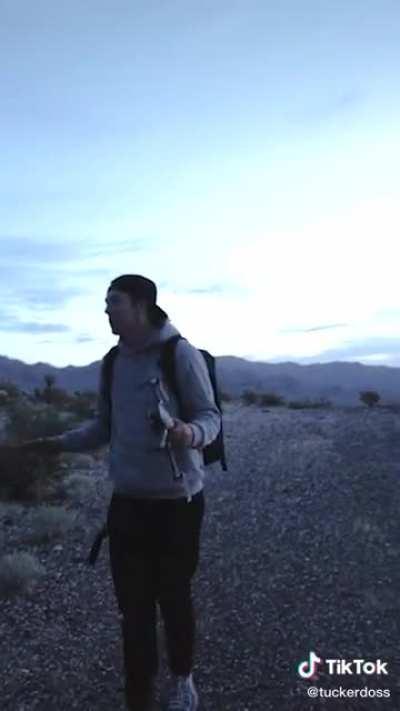 Sunrise reflects off the solar farm