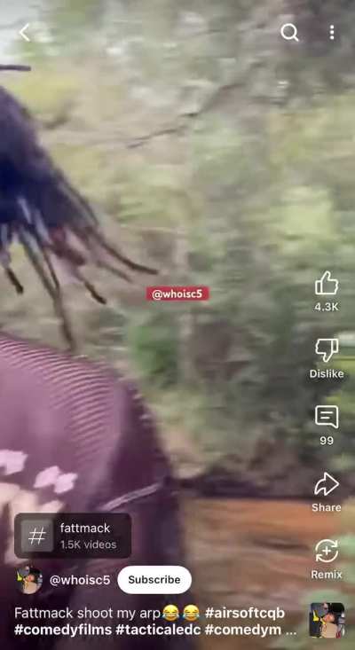 who needs ear pro? (or a stock) found on yt shorts