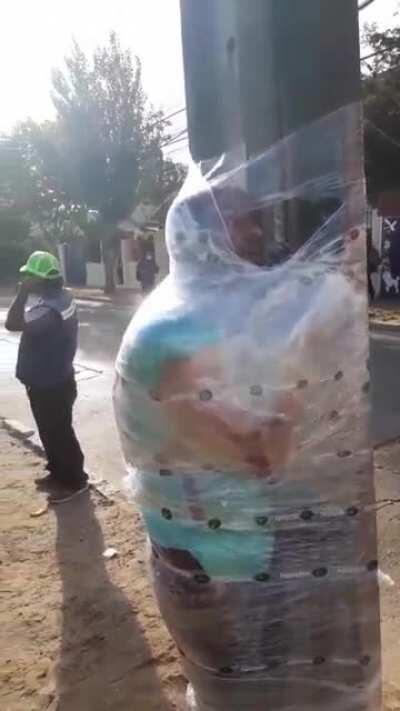 Caterpie found in the wild! / El mejor país de Chile defendiendo a sus compatriotas chilenos