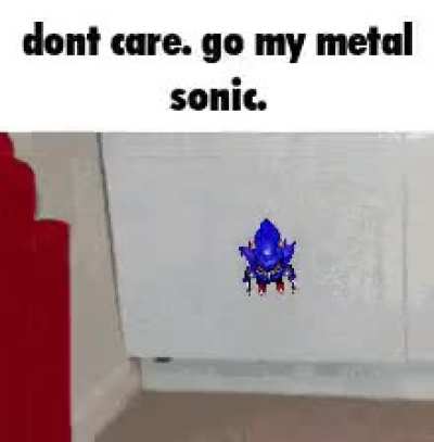 I hope there’s a metal sonic skin for PCX