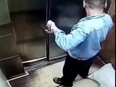 How did bro make it this far in life?