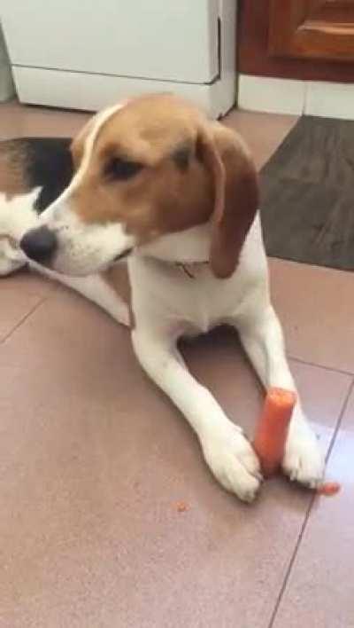 Coping with summer heat.