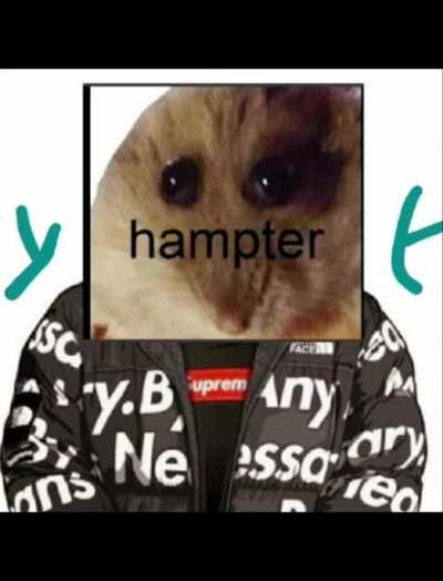 Gullyy server meme complination