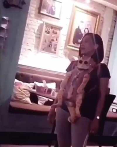 Кот Базилио