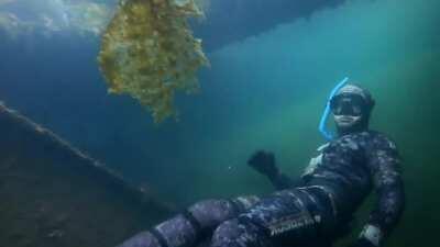 Alaskan Shipwreck Swim-through (The Fox Island Barge)