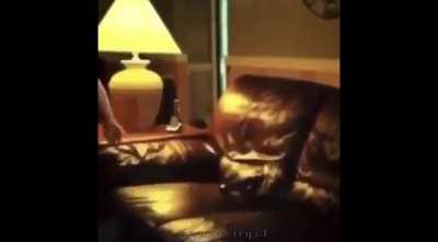 He jimmy wanna see a frog?