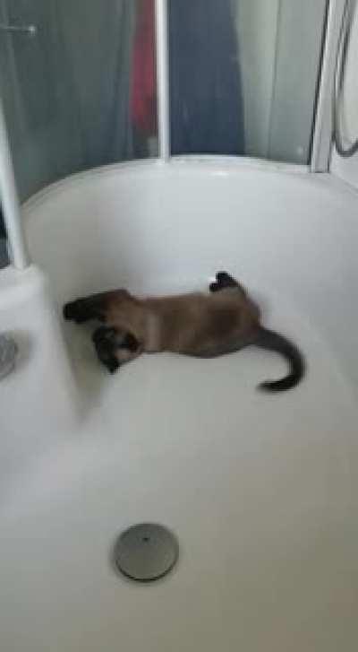 He does this every once in a while.